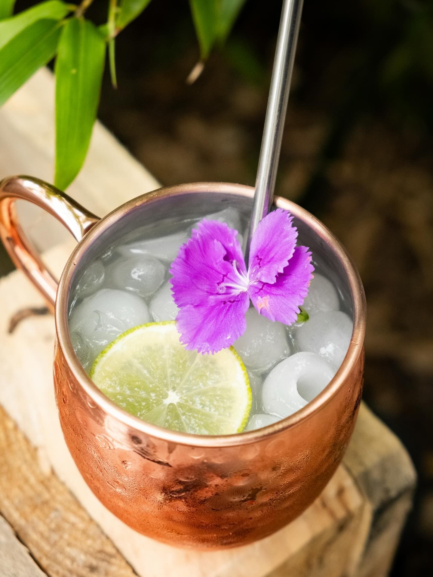 Roma Mule